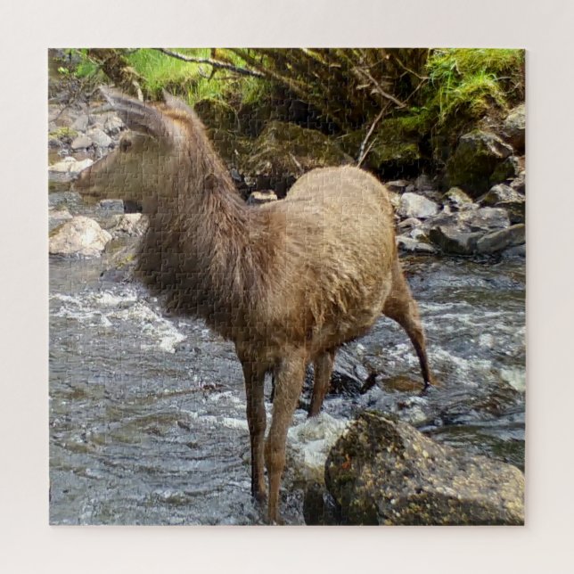 Jovem Red Deer na Quebra-cabeça do rio Jigsee (Vertical)