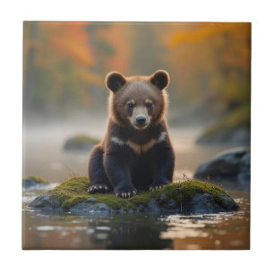 Jovem Urso no outono