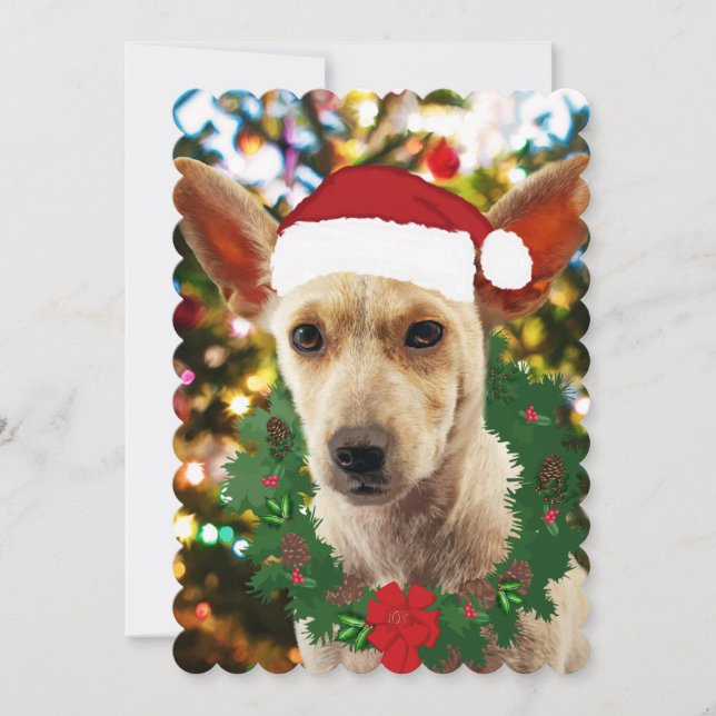 Joy para o Puppy (Frente)