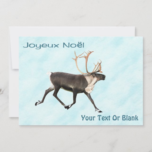 Joyeux Noё l - Cariou (Reindeer) Na Neve (Frente)