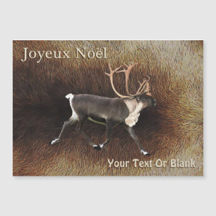 Joyeux Noёl - caribu de Bull (rena)