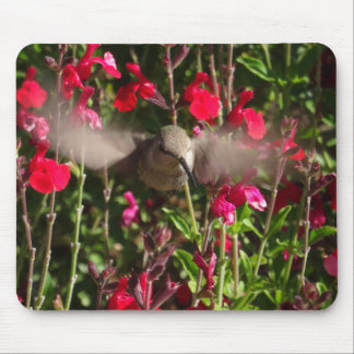 Joyful Hummingbird Mousepad