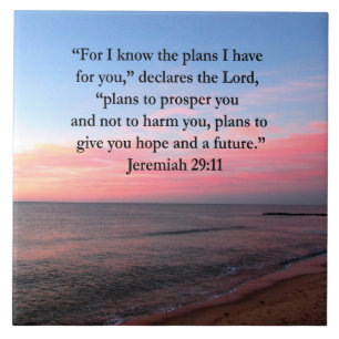 JOYFUL JEREMIAH 29:11 SOL