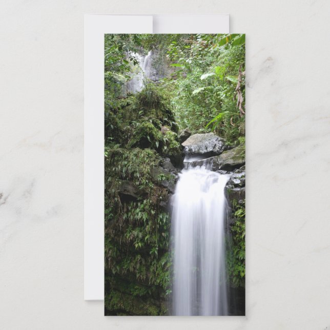 Juan Diego Falls (Frente)