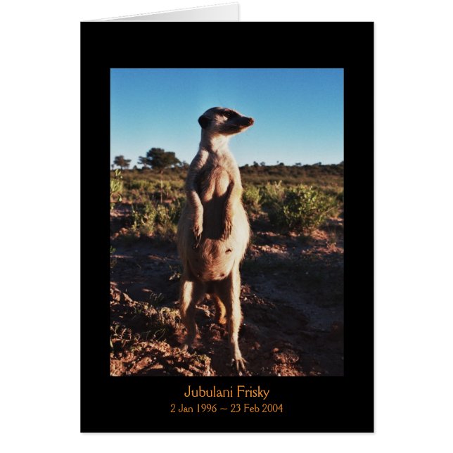 Jubulani Frisky - cartão das legendas (Frente)