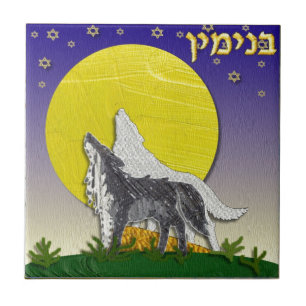Judaica 12 Tribos Israel Benjamim