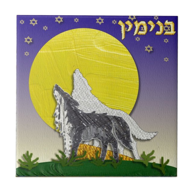 Judaica 12 Tribos Israel Benjamin (Frente)