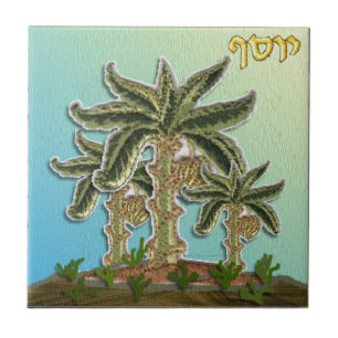 Judaica 12 Tribos Israel José