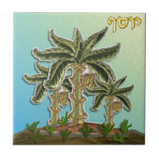 Judaica 12 Tribos Israel Joseph