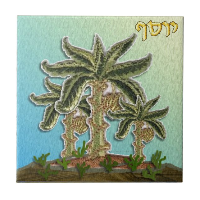 Judaica 12 Tribos Israel Joseph (Frente)