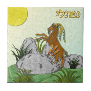 Judaica 12 Tribos Israel Naftali