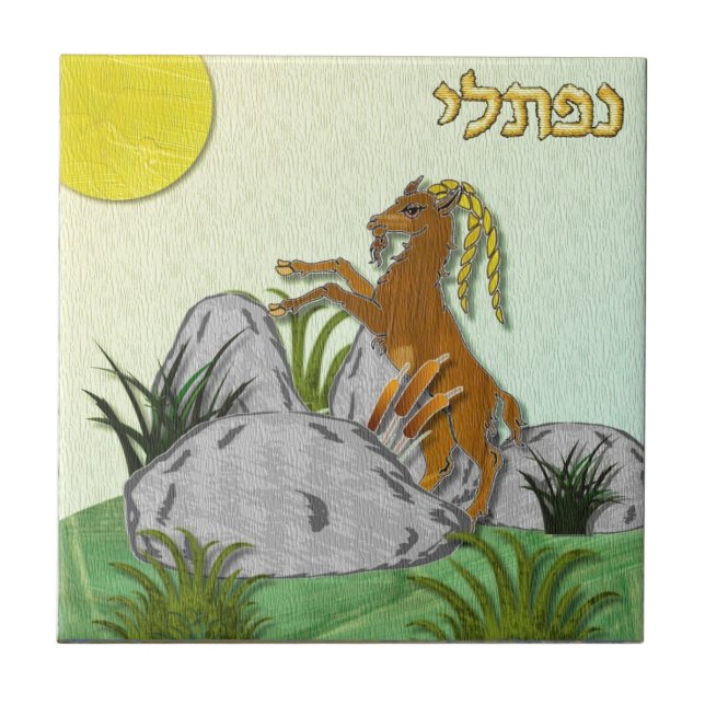 Judaica 12 Tribos Israel Naphtali (Frente)