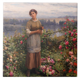 Julia Gathering Rosa (Bela Garota e Flores)