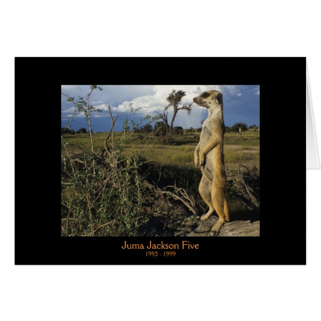 Juma - cartões das legendas (Frente Horizontal)