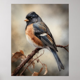 Junco Bird Art Impressão