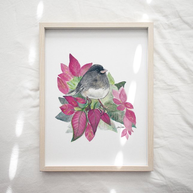Junco Dark Eyed Bird Impressão (Junco Dark Eyed Bird Watercolor Art Print from Jenn's Emporium.)