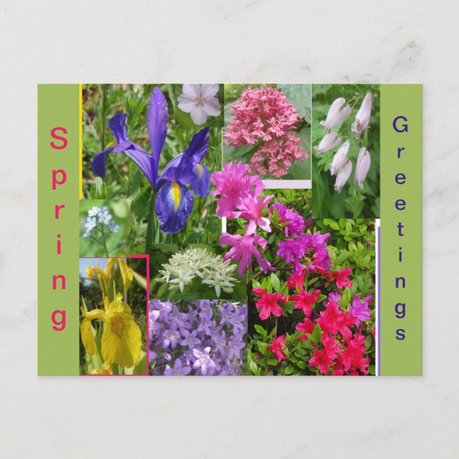June Flowers Collage Cust. Cartão Postal (Frente)