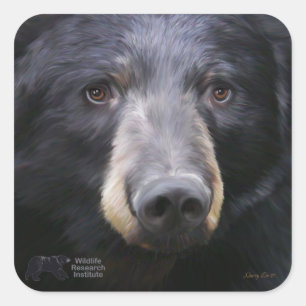 Junho por Nancy Liu - adesivo