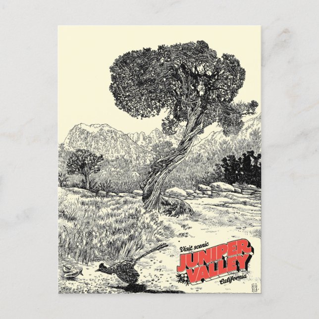 Juniper Valley Wilderness - Cartão postal (Frente)