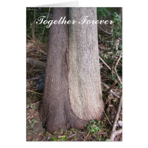 Junto para sempre cartão do ~