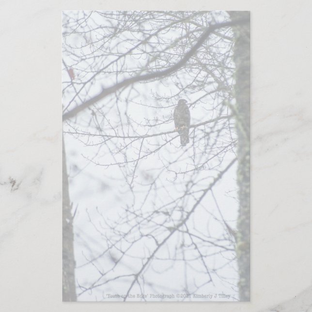 Juventude à borda (Frente)