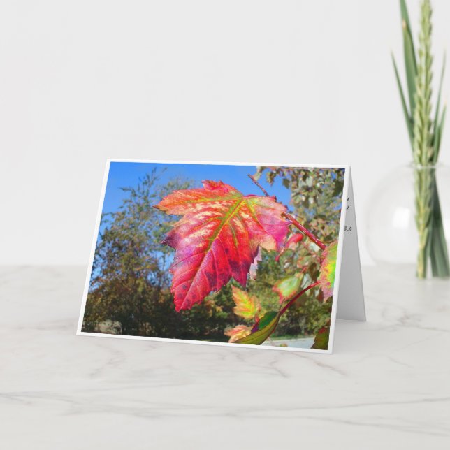 K&K - Cartão de condolências (Frente)