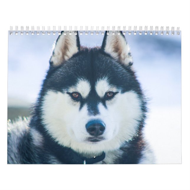 Kaeru O Calendário Do Rouco (Capa)