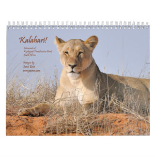 Kalahari! Mamíferos do calendário de Kgalagadi