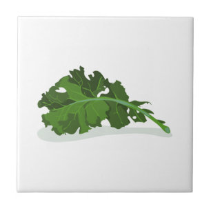 Kale Leaf
