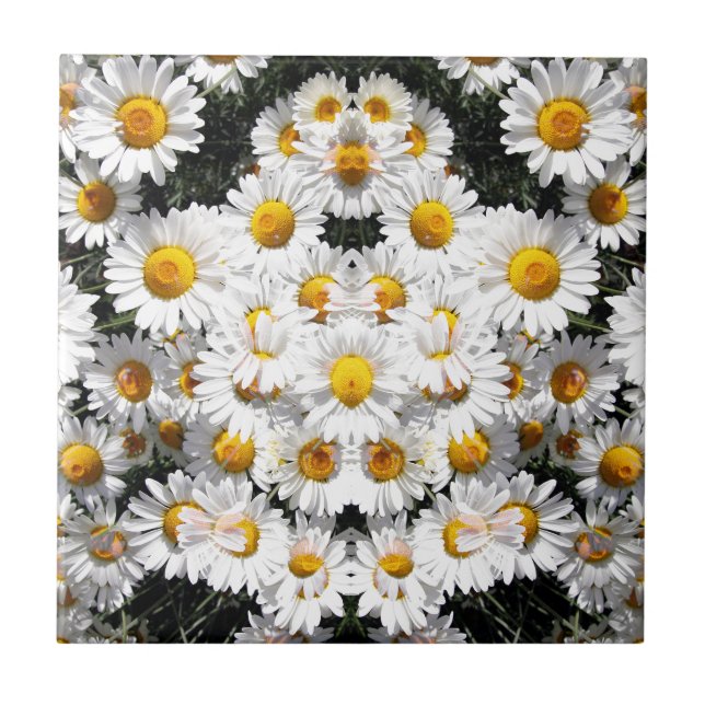 Kaleidoscope Daisies (Frente)