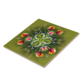 Kaleidoscópio, Púrpura Bicolada e Tulipas Douradas