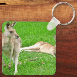 Kangaroo chaveiro