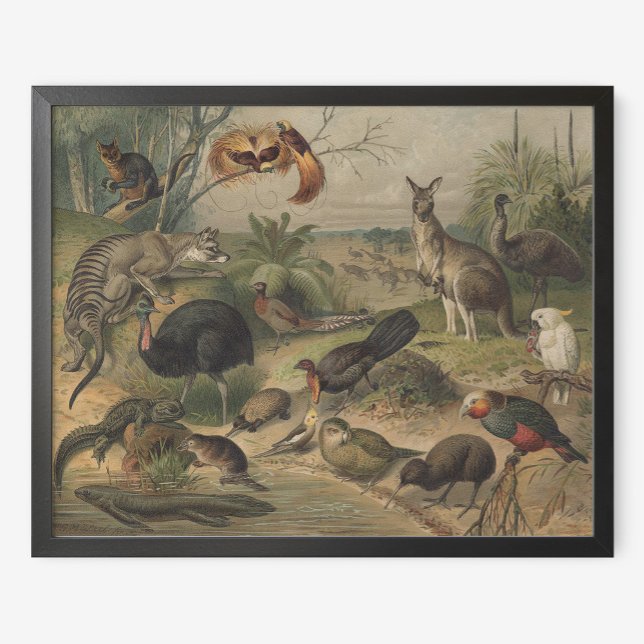 Kangaroo e Amigos Animais na Poster da Austrália (Criador carregado)
