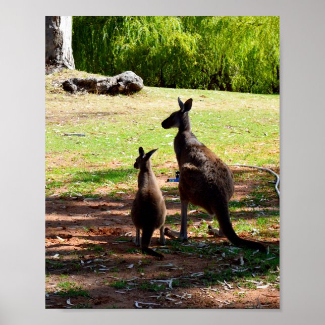 Kangaroo E Seu Joey, Poster (Frente)