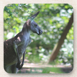 Kangaroo porta copos