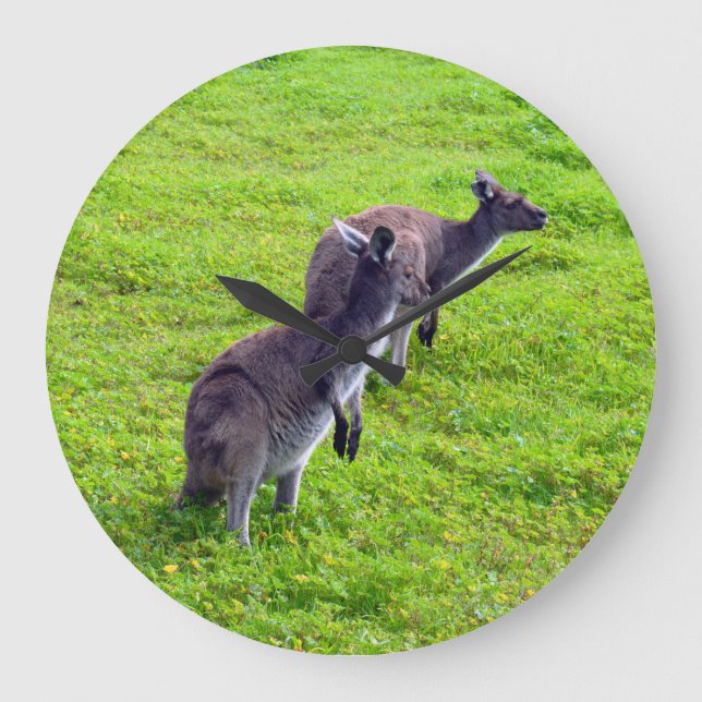 Kangaroos verde, Relógio de Parede (Frente)