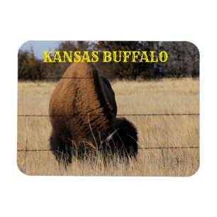 KANSAS BUFFALO em um ímã prateado