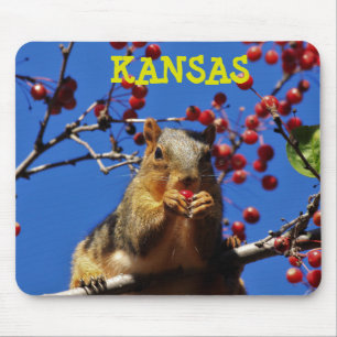 Kansas Fox Tail Squirrel Mouse PAD
