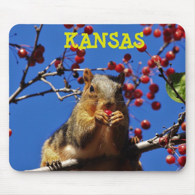 Kansas Fox Tail Squirrel Mouse PAD (Frente)