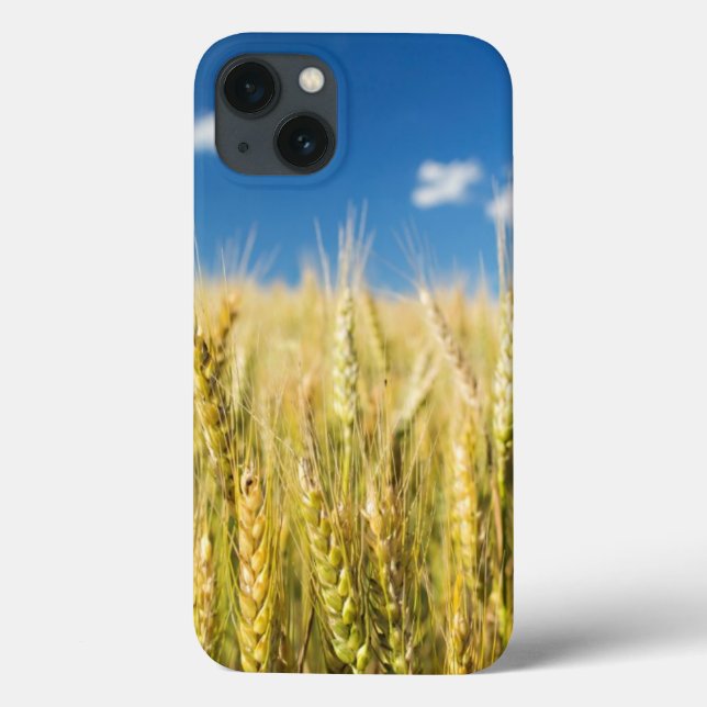 Kansas Wheat (Verso)
