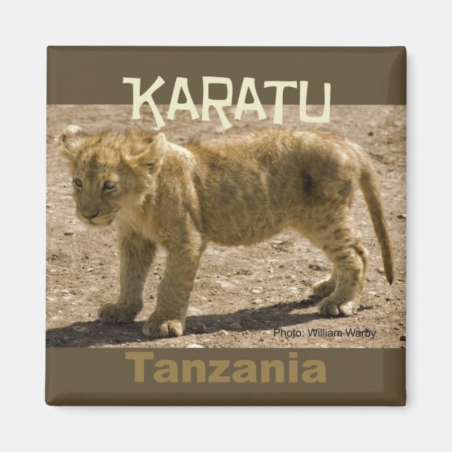Karatu Tanzânia Africa Imã de geladeira Lion Cub (Frente)