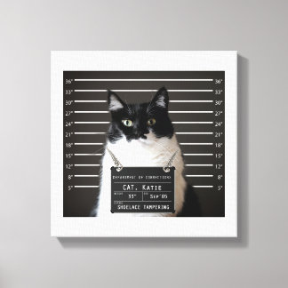 Katie É... ACUSADA De Tumg Fodido Na Canvas