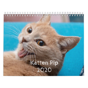 Katten Pip - Calendário 2020