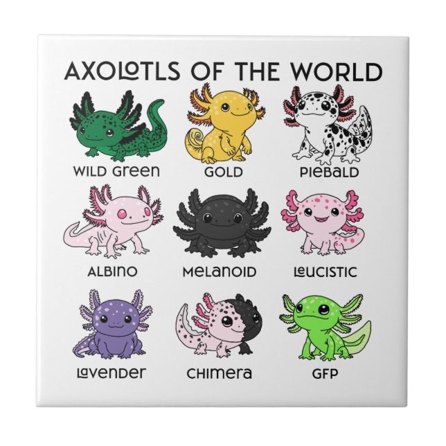 Kawaii Axolotls of the Worlds (Frente)