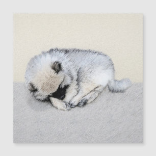 Keeshond Dormindo Puppy Pintura Original