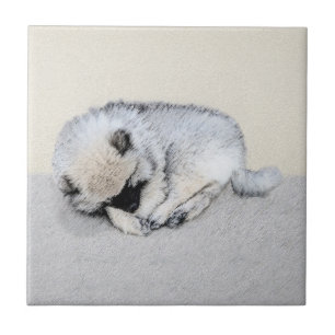 Keeshond Dormindo Puppy Pintura Original