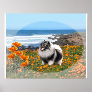 Keeshond National logo art poster