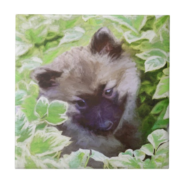 Keeshond Puppy na Pintura Original (Frente)