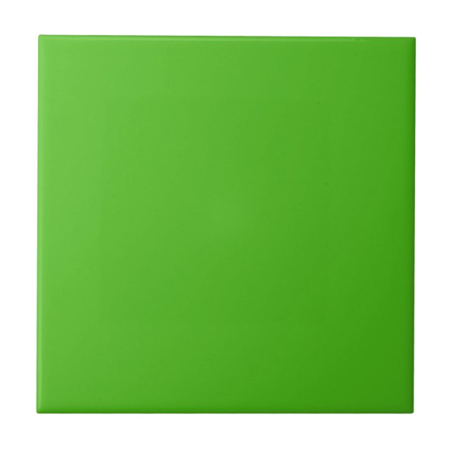 Kelly Green Solid Color (Frente)