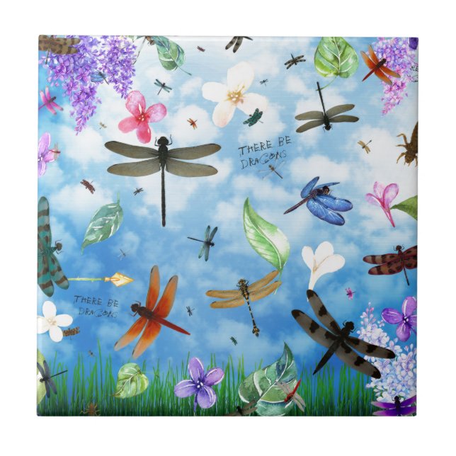 kelsey de Nola da arte da libélula (Frente)